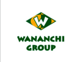 Job Opportunity at Wananchi Group Tanzania Limited - Customer Service Team Leader