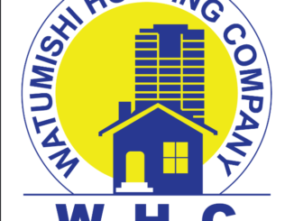 Job Opportunity at Watumishi Housing Company-Accountant II