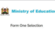KCPE Form One Selection 2021| How to check high school selected to join and download Admission Letter 2021/2022