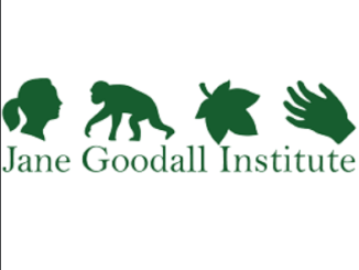 Job Opportunity at Jane Goodall Institute- Consultants April 2021