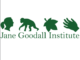 Job Opportunity at Jane Goodall Institute- Consultants April 2021