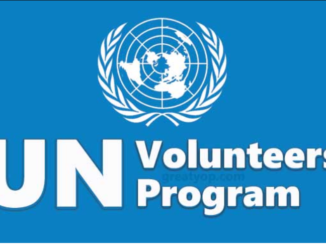 Job Opportunity at UN Volunteers /UNCDF- Investments Impact Officer. Data Collection and Measurement