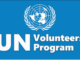 Job Opportunity at UN Volunteers /UNCDF- Investments Impact Officer. Data Collection and Measurement