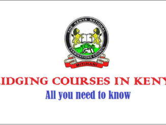 KCSE Grade Required to Study Diploma or Degree in Nursing in Kenya