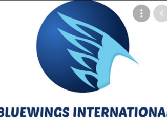 Job Opportunity at Bluewings International- Office Assistant June 2021