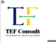 9 Job Vacancies at TEF Consult Tanzania Limited - Various Posts