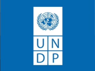 UNDP Full Funded Graduate Programme 2021/2022 For Young Graduates | Apply Now Here