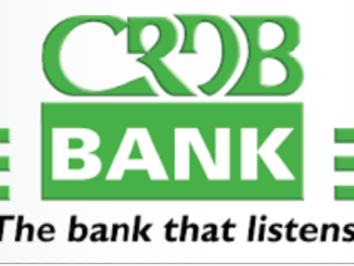 Job Opportunity at CRDB Bank Plc Tanzania - Head; HR Shared Services