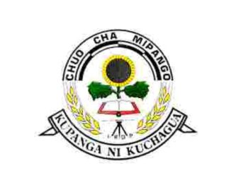 Institute of Rural Development Planning-IRDP Online Application System (OAS)  | How to Apply chuo cha Mipango