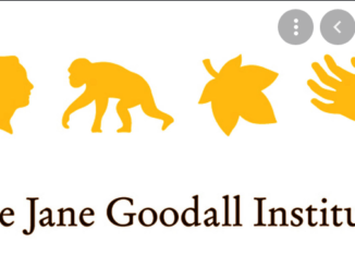 Job Opportunity at Jane Goodall Institute- Deputy Chief of Party
