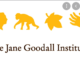 Job Opportunity at Jane Goodall Institute- Deputy Chief of Party