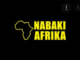Job Opportunity at Nabaki Afrika, Head Of Sales and Marketing