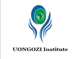 Job Opportunity at UONGOZI Institute- Capacity Development Specialist