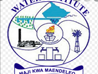 WI Fee Structure PDF Download-Kiwango cha Ada Chuo cha Maji-Water Institute