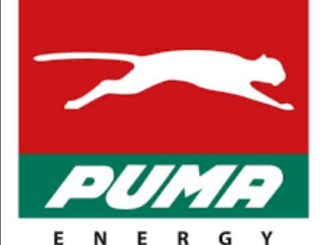 Job Opportunity at Puma Energy- Sub-regional Tax Manager
