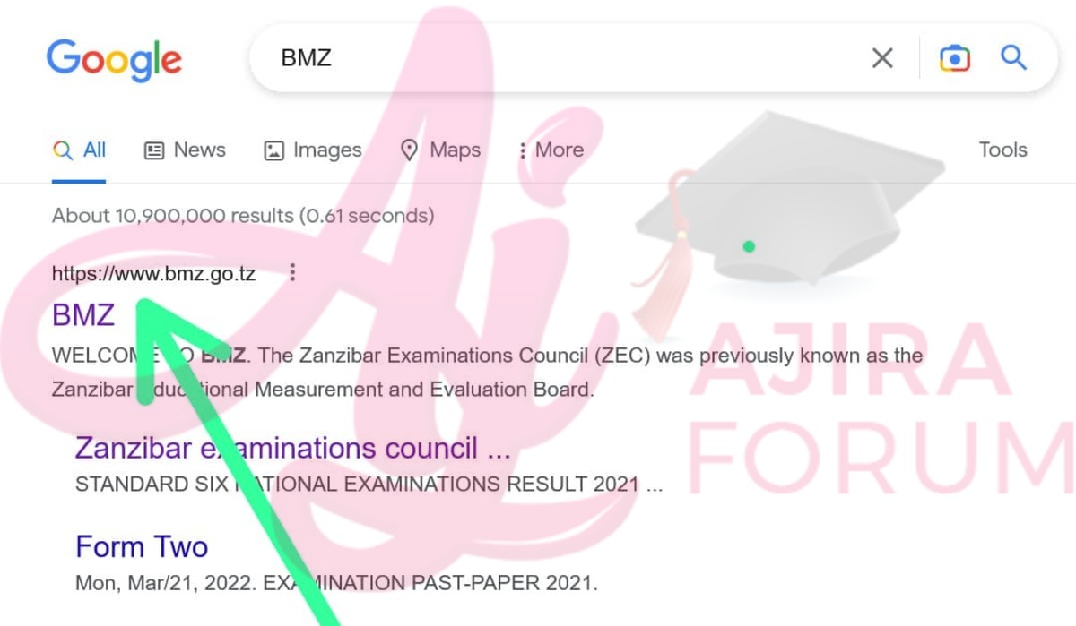 How to check BMZ Results online?