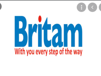 Job Opportunities at Britam Insurance Tanzania August 2021