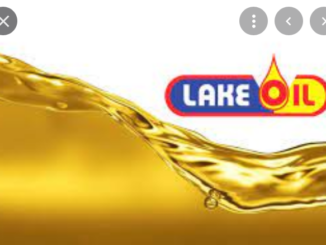 Job Opportunity at Lake Oil-Internal Audit Manager