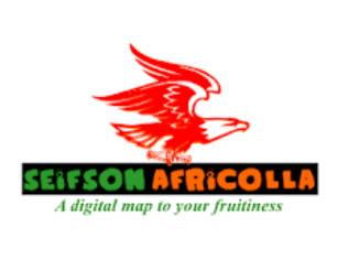 Job Opportunity at Seifson Africolla-Sales and Marketing Freelancer