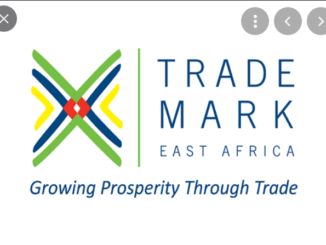 Job Opportunity at TradeMark East Africa- Head of Human Resources
