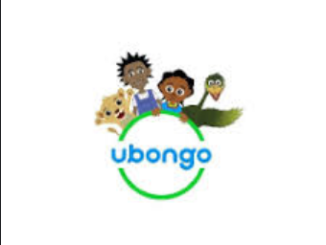 Distribution Intern (Multiple) At Ubongo