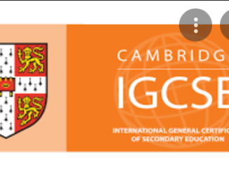 IGCSE Results online Tanzania -How Can I check my IGCSE results online