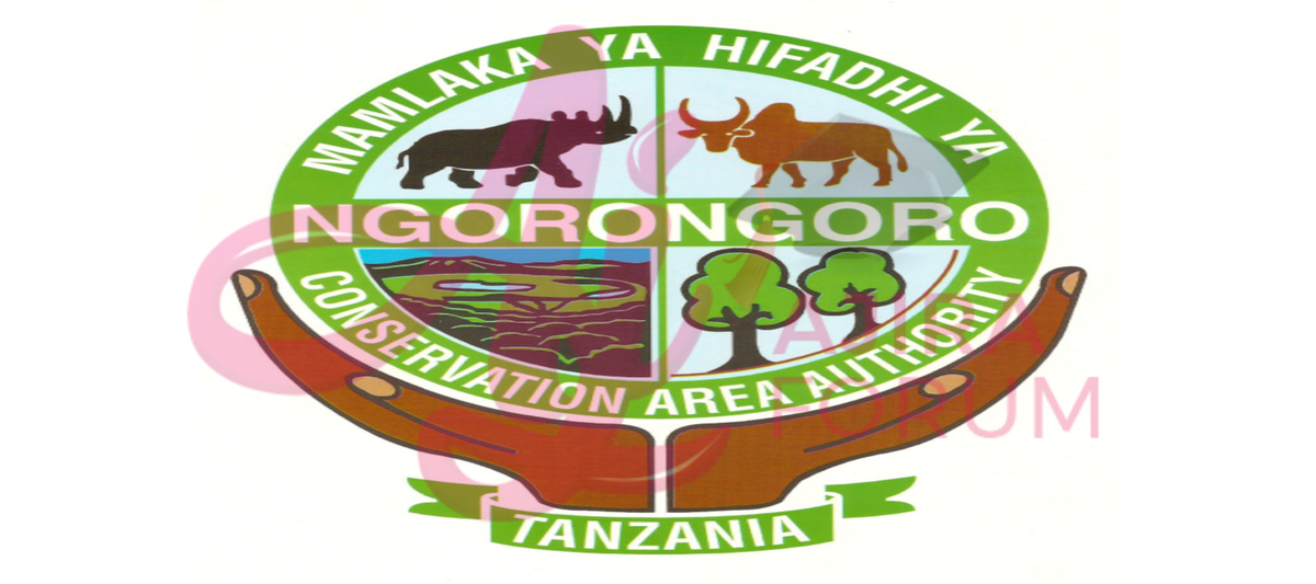 Ngorongoro recruitment portal Login – ncaa recruitment portal