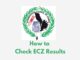How to check ECZ eStatement of Results 2021/2022