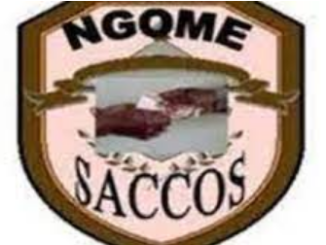 Job Opportunity at Ngome Saccos- HR AND Admin Manager