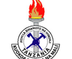 ZIMAMOTO Tanzania: Call for Work - Names Selected to Join at Fire and Rescue Service January 2022