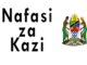  Call For Interview at Dodoma City Council-Kukusanya Anuani za makazi (Postal code) March 2022