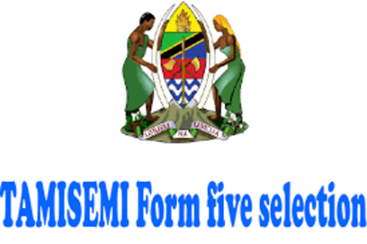 Tamisemi Form Five selection Dar es salaam PDF Download 2023/2024