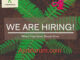 4 Job Opportunities at Vi Agroforestry- Programme Officers
