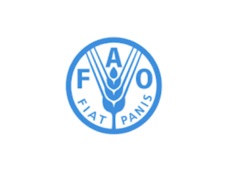 Job Opportunity at FAO  National Project Personnel - Operations
