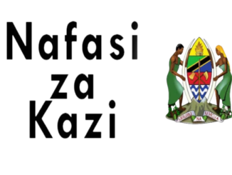 Job Vacancies at Ministry of Water (Wizara ya Maji Tanzania) March 2022