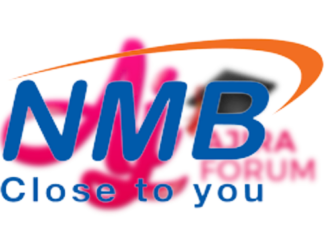 Job Opportunity at NMB Bank - Project Officer March 2022