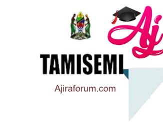 Tununguo Secondary School S3217 Necta Form Four -Two and Six Results |Form one & Five selections | Joining Instructions