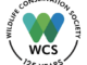 Job Opportunity at Wildlife Conservation Society-Species Monitoring Specialist March 2022