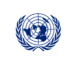Job Opportunity at IRMCT/United Nations - Associate Procurement Officer P-2 April 2022