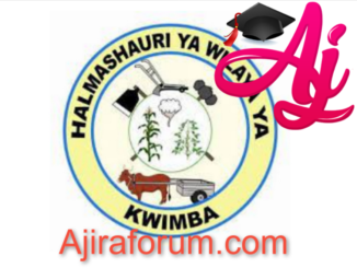 Job Opportunities At Kwimba District Council -Village Executives April 2022