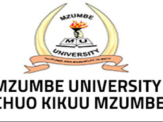 Job Opportunities at Mzumbe University April 2022
