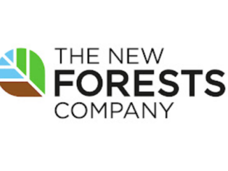 Job Vacancies at New Forests Company April 2022