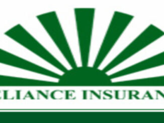 Job Opportunity at Reliance Insurance Company (T) Limited-Investment Officer April 2022