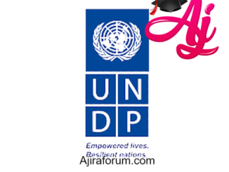 Job Vacancy at UNDP - Programme Analyst April 2022