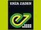 Job Opportunity at Enza Zaden Africa Ltd - Logistics and Procurement Manage