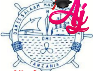 Job Opportunities at Dar es Salaam Maritime Institute (DMI) June 2022