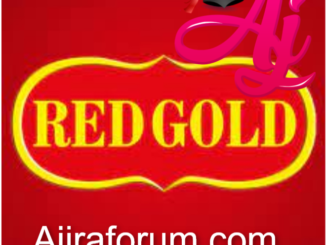 Job Opportunity at RedGold Dar es salaam Branch - Sales Person June 2022