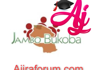 Jobs and Volunteering Opportunities at Jambo for Development (JFD) June 2022