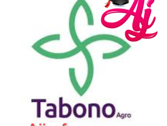 Job Opportunity at Tabono Consult - Receptionist June 2022