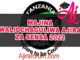 List ya Majina ya Waliochaguliwa Ajira za sensa Njombe 2022 PDF Download